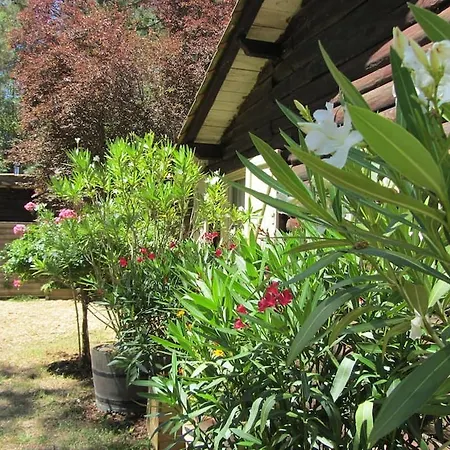 Holiday Rue Du Bois 1 Lacanau